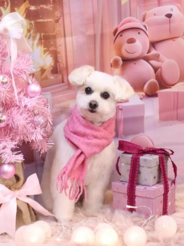 20241227うみちゃん